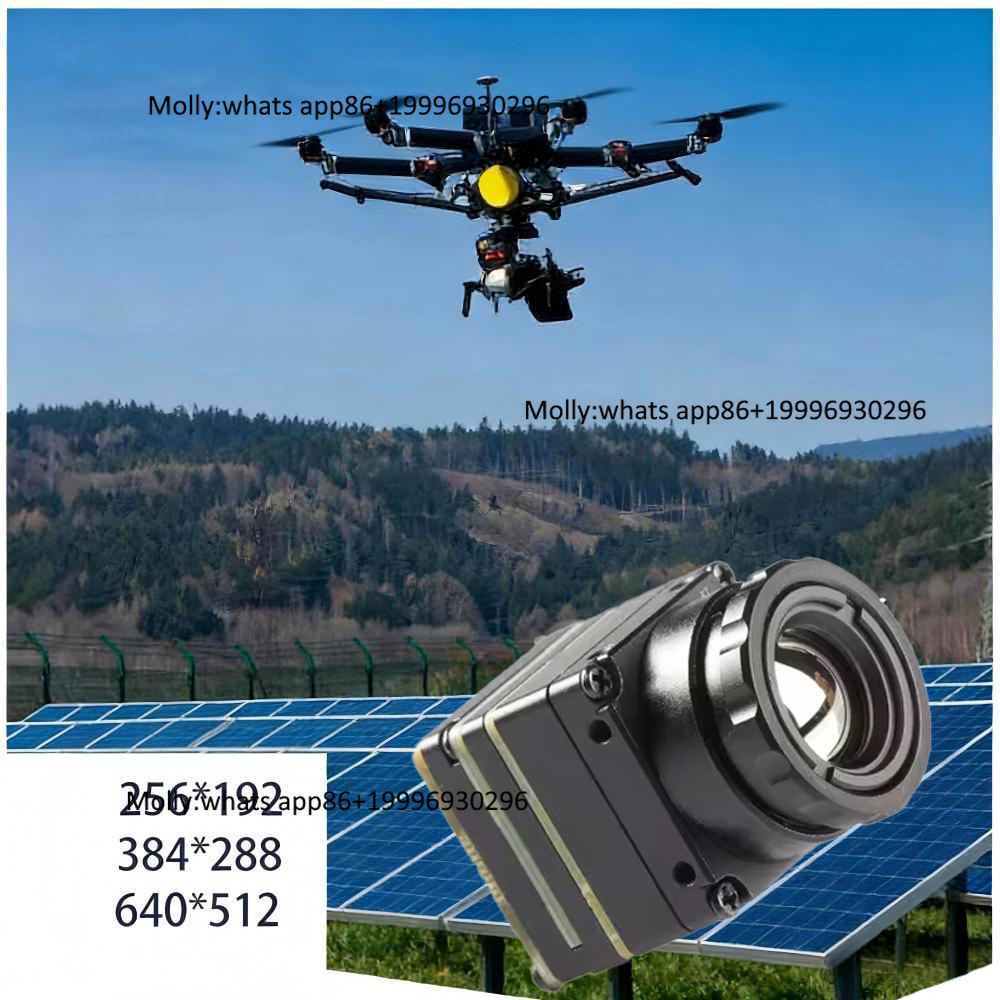 Thermal Camera Type C 384X288 - 미니 FPV 열화상 카메라 모듈 (CVBS/Type-C,